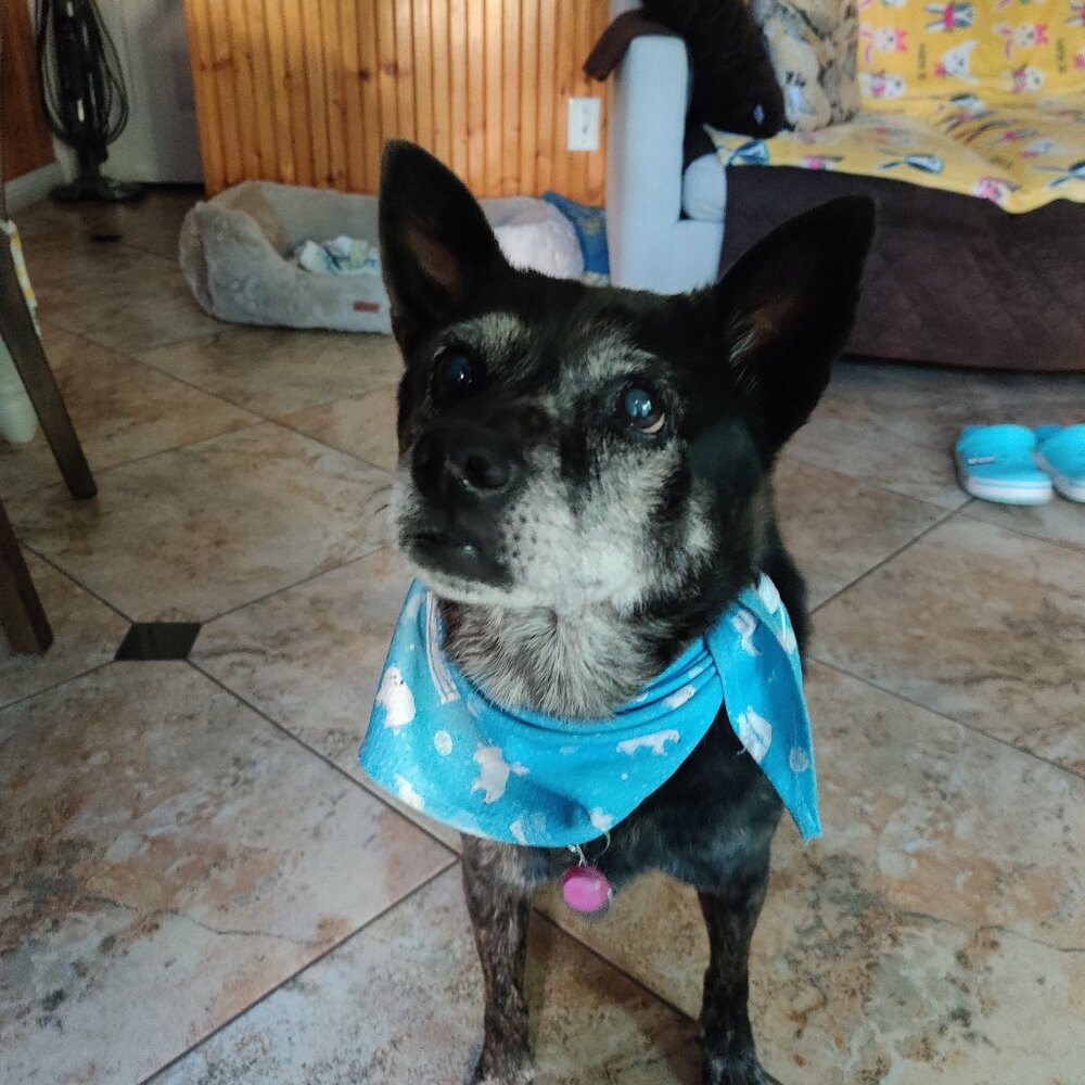 Thank You For Shopping My Closet 🛍